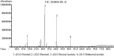 Phytochemical analysis, antioxidant, antimicrobial, and anti-enzymatic properties of Alpinia coriandriodora (sweet ginger) rhizome